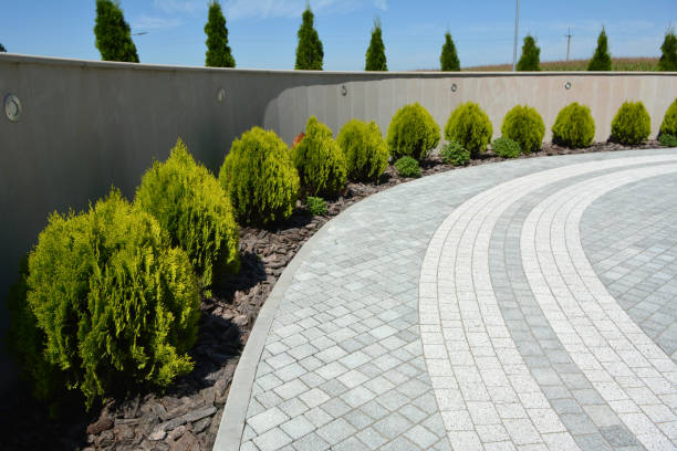 Professional Driveway Pavers in Rockwood, TN
