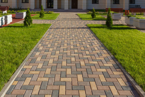 Best Driveway Pavers Near Me  in Rockwood, TN